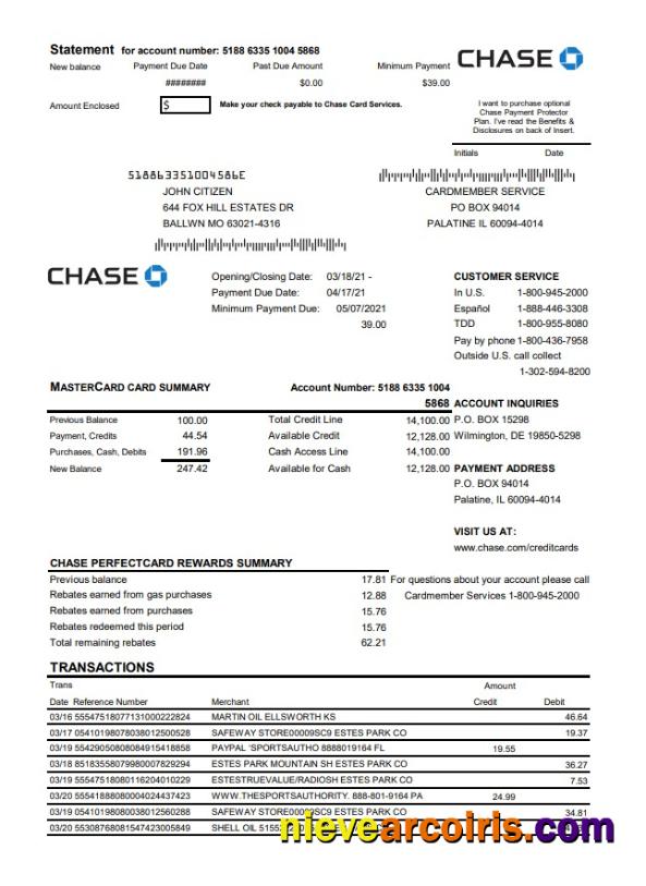 USA Chase bank Mastercard card statement
